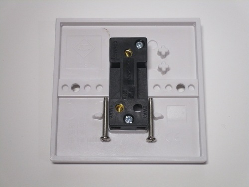 Rear of the switch. There are two terminals, as well as screws held by the plastic cover.