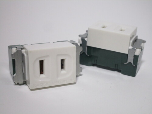 Standard 2-prong socket module.